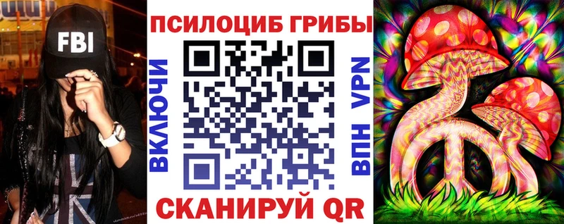 где найти наркотики  Кировск  Галлюциногенные грибы мицелий 