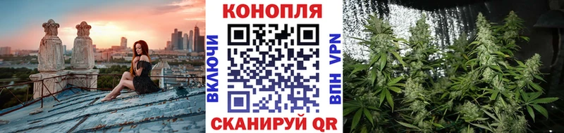 MEGA ссылки  Кировск  Канабис планчик  закладки 